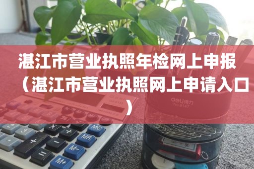 湛江市营业执照年检网上申报（湛江市营业执照网上申请入口）