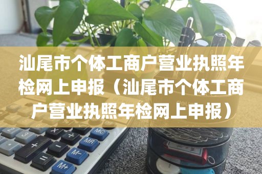 汕尾市个体工商户营业执照年检网上申报（汕尾市个体工商户营业执照年检网上申报）