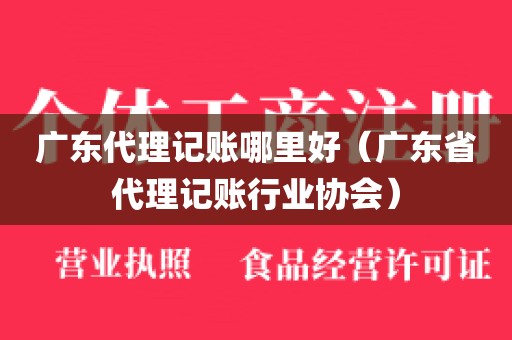 广东代理记账哪里好（广东省代理记账行业协会）